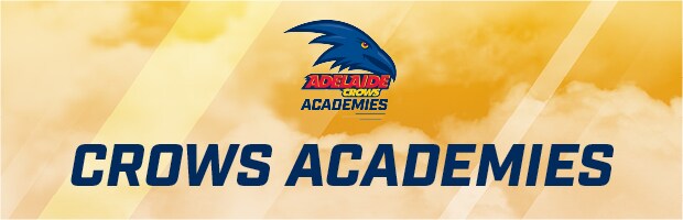 FBAL0148 - Academy Web Tiles.jpg FBAL0148 - Academy Web Tiles.jpg